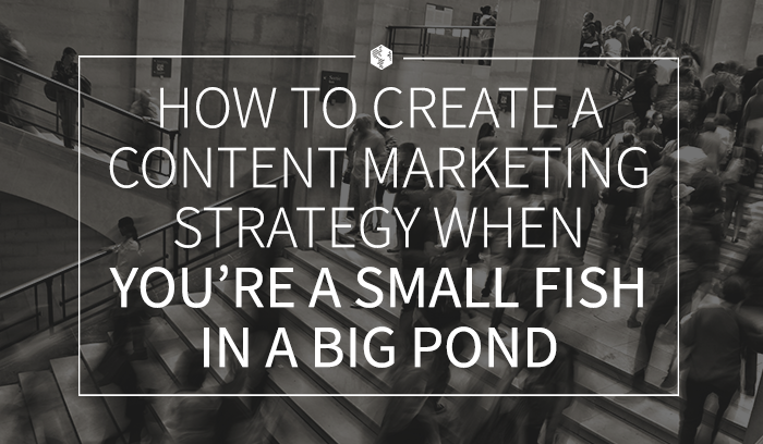 How to Create a Content Marketing Strategy When You’re a Small Fish in a Big Pond