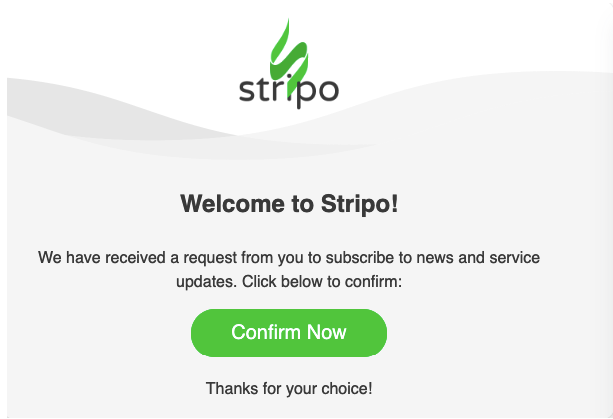 Stripo Confirmation Email Sample